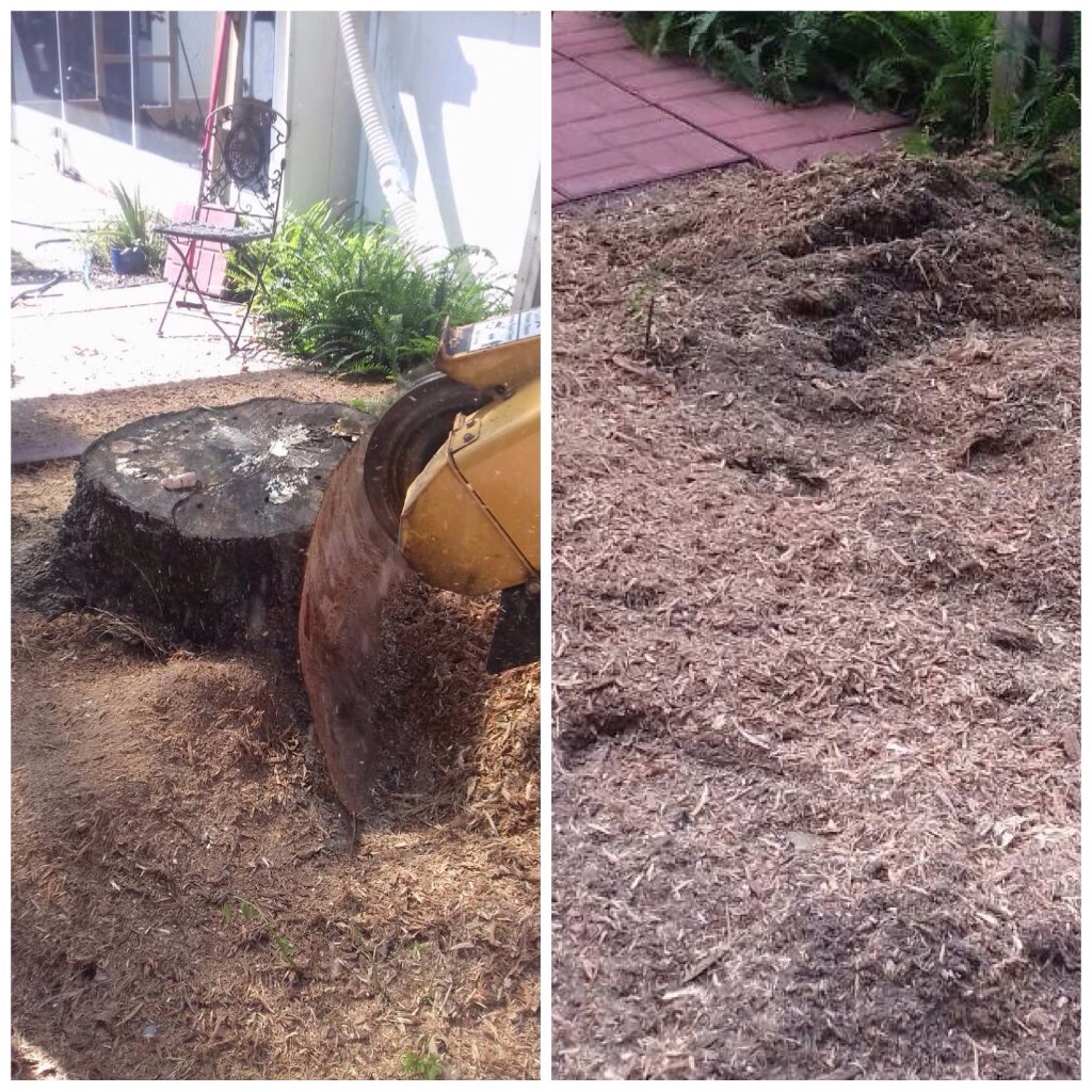Stump Removal Barrie Ontario